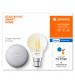 Ledvance LV542723 Google Nest Mini & Ledvance Smart+ Bluetooth B22D Filament Bulb Bundle