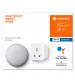 Ledvance LV542808 Google Nest Mini & Ledvance Smart+ Bluetooth Plug Bundle