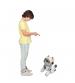 Lexibook DOG05EN Cyber Power Puppy with Voice Command & Remote Control